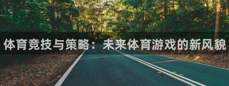 鼎点娱乐：体育竞技与策略：未来体育游戏的新风貌
