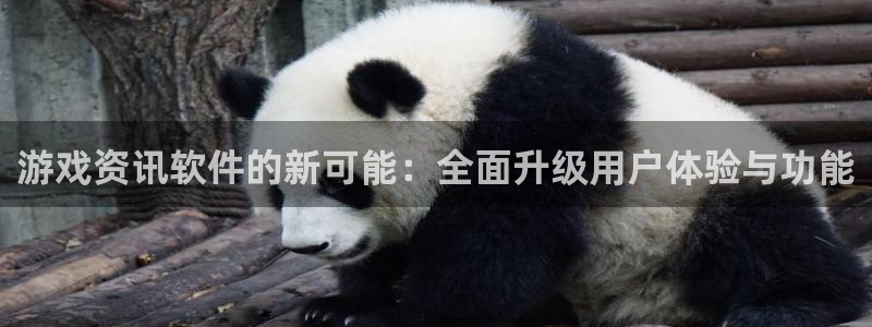 鼎点娱乐app最新版本更新内容：游戏资讯软件的新可能：全面升