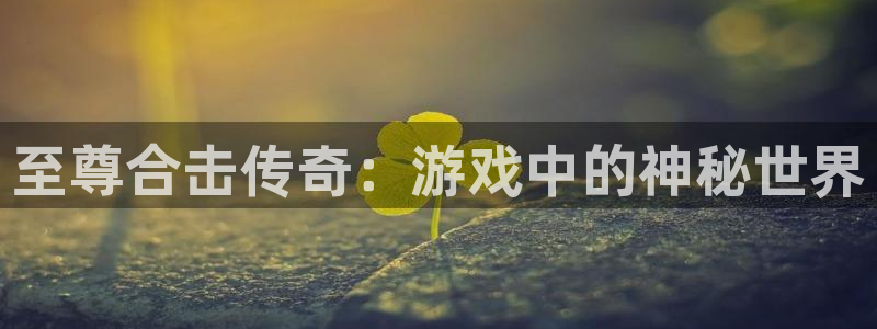 鼎点娱乐上.93O79.判官团队：至尊合击传奇：游戏中的神秘