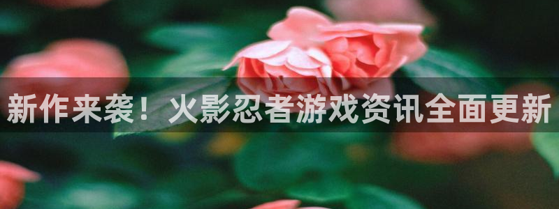 鼎点娱乐平台登录地址怎么改：新作来袭！火影忍者游戏资讯全面更