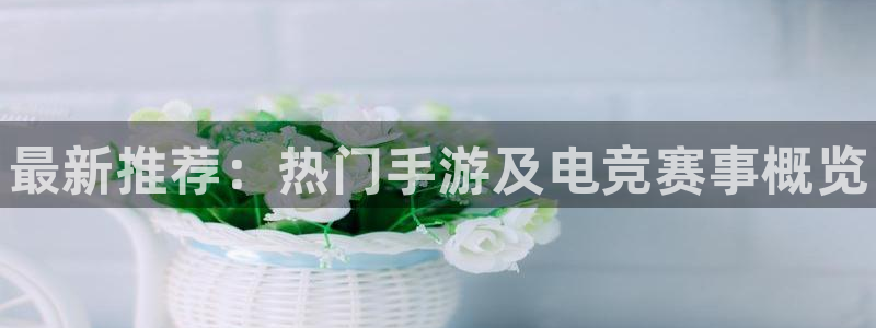 鼎点娱乐咨询